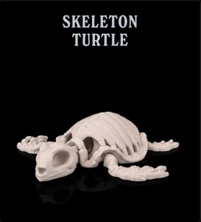 Skeleton Turtle
